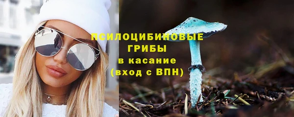 прущий лед Верея