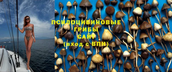 МДМА Бородино