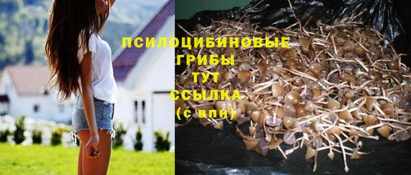 МДМА Бородино