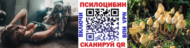 Галлюциногенные грибы Psilocybe  даркнет сайт  Кашин 